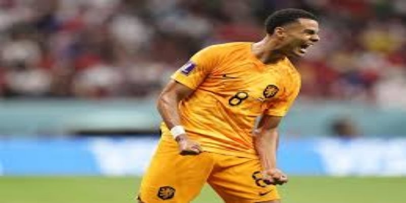 数据透视：荷甲现象级表现-贝博体育