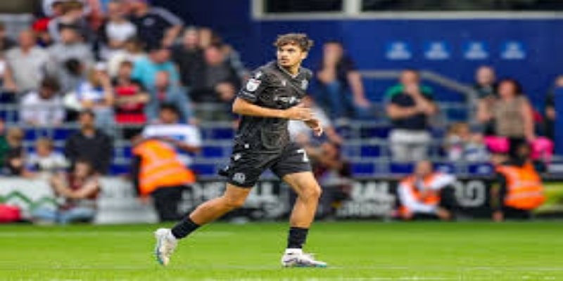 先驱者传承与草根力量-贝博体育