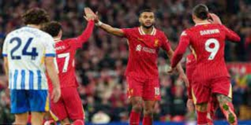 关键球员表现分析-贝博体育