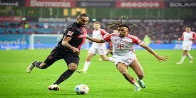 从失意天才到英冠锋霸：贝博体育视角-贝博体育